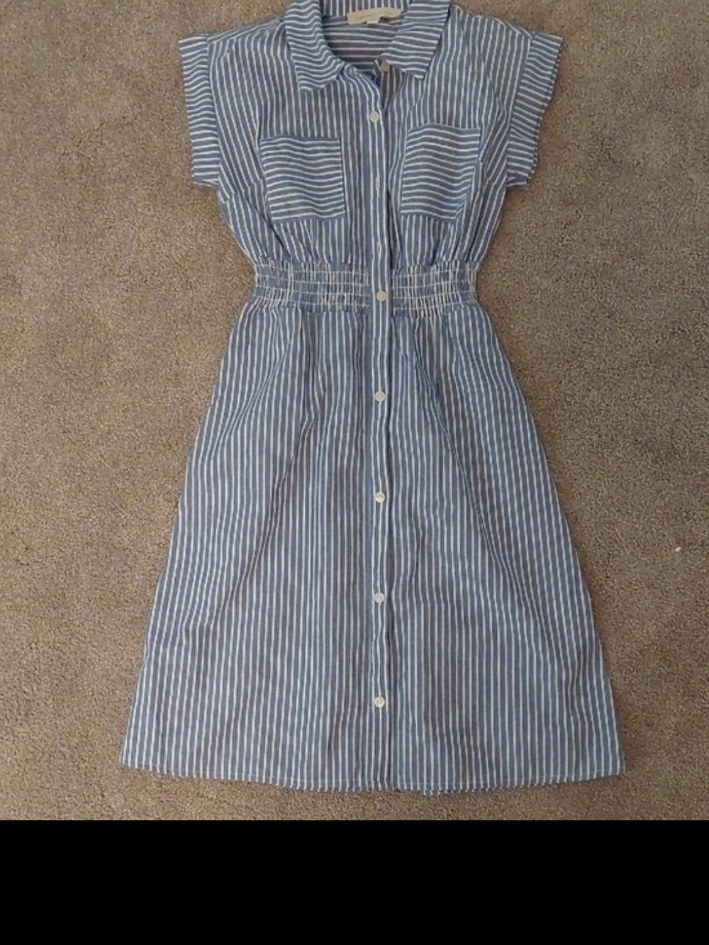 Girls Blue Striped Button-Front Casual Dress